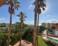 Alquiler - Duplex - Dehesa de Campoamor