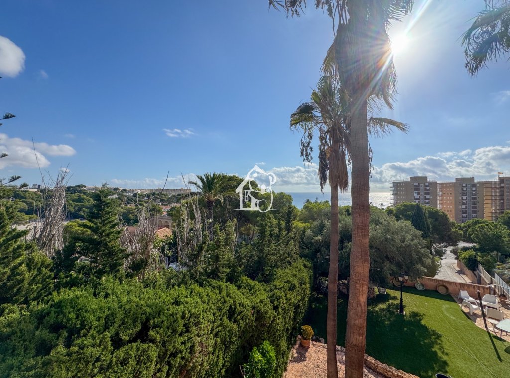 Alquiler - Duplex - Dehesa de Campoamor