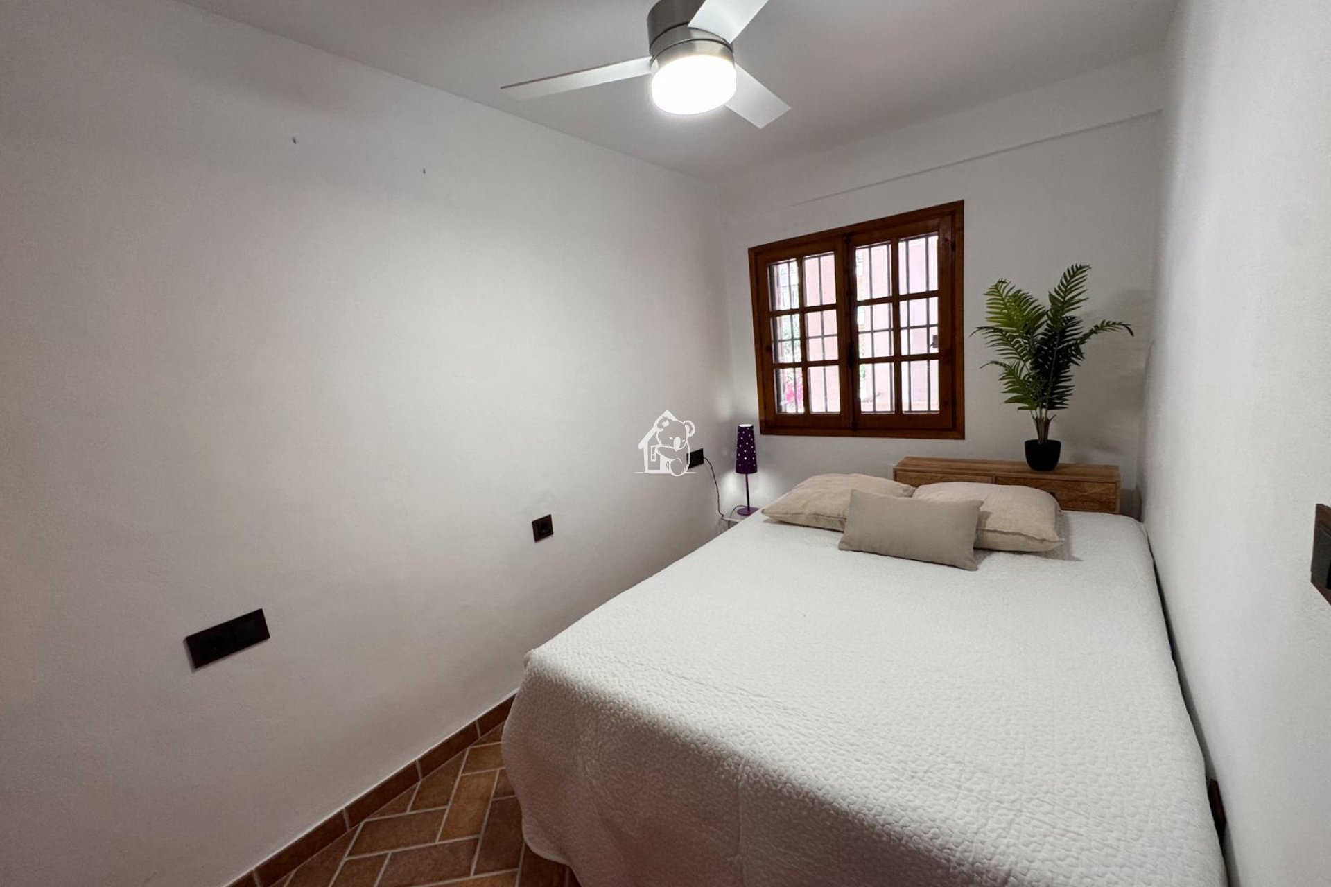 Alquiler - Duplex - Guardamar del Segura