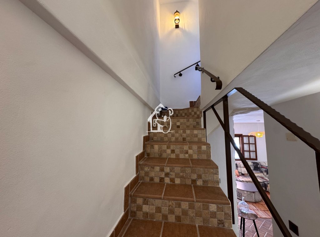 Alquiler - Duplex - Guardamar del Segura