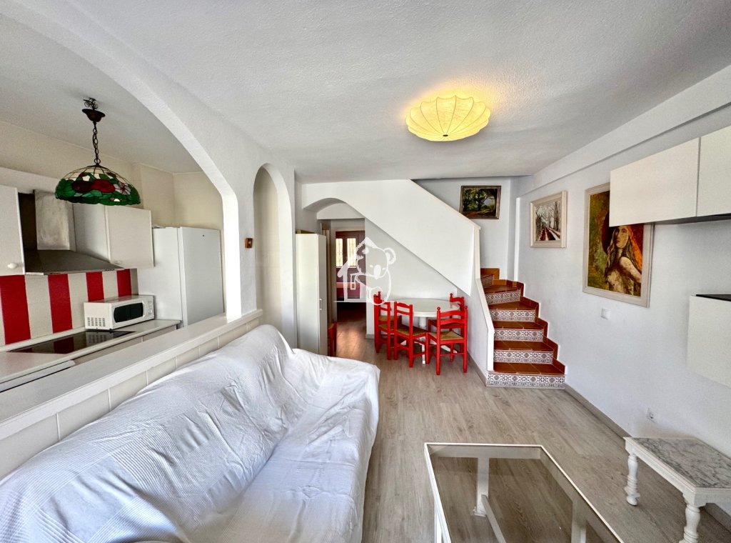 Alquiler - Duplex - Torrevieja