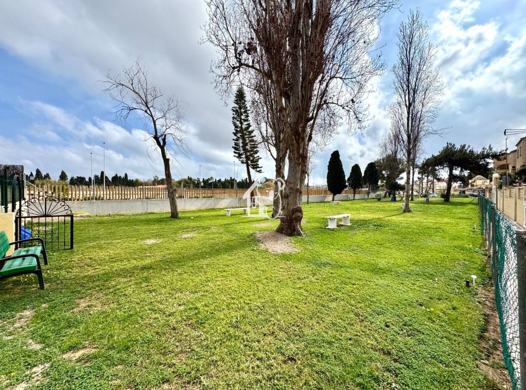 Alquiler - Duplex - Torrevieja