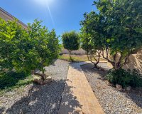 Alquiler - Villa - Cabo Roig
