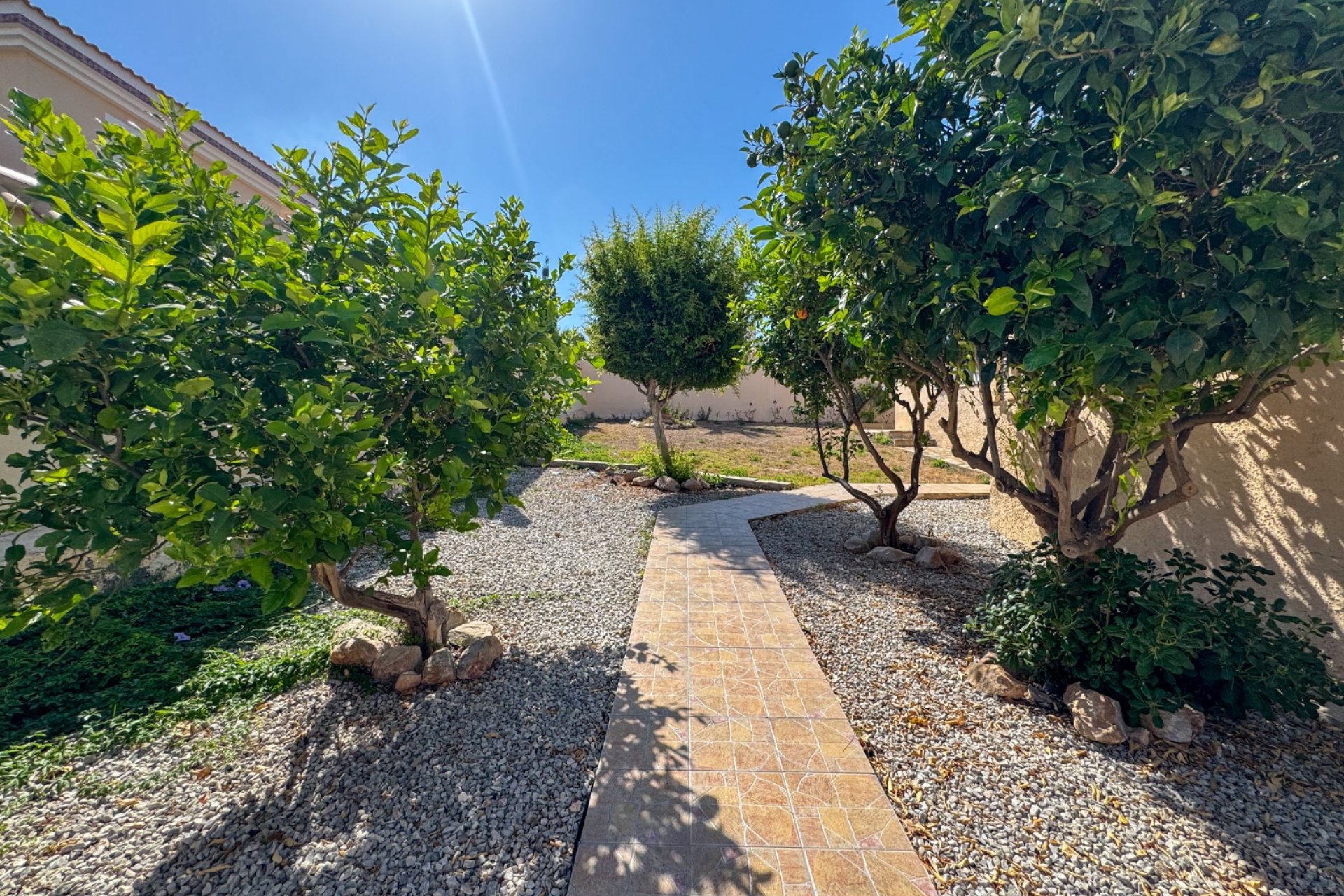 Alquiler - Villa - Cabo Roig