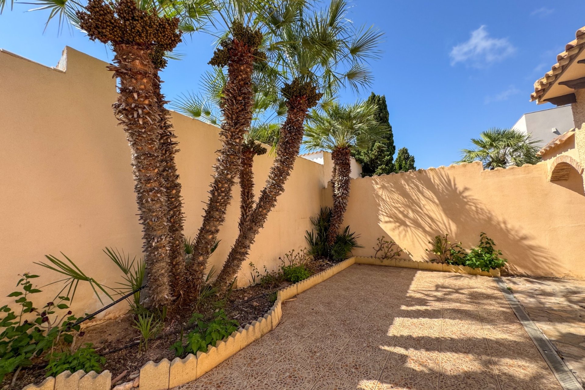 Alquiler - Villa - Cabo Roig