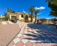 Alquiler - Villa - Ciudad Quesada