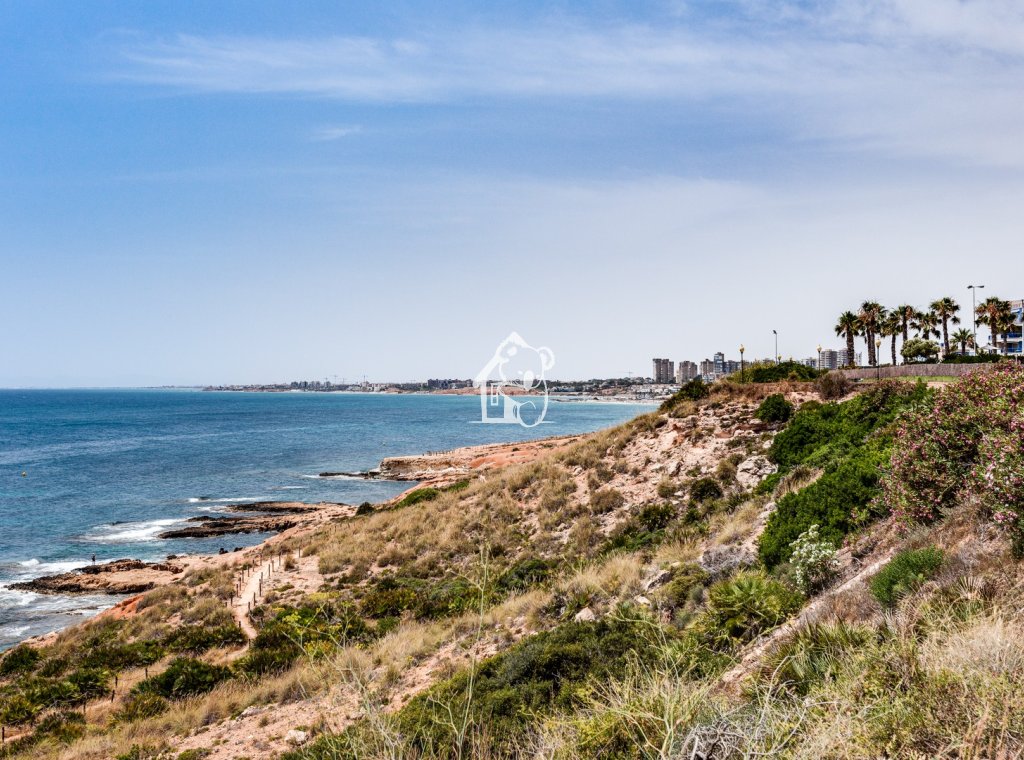 Alquiler - Villa - Orihuela Costa - Cabo roig - La Zenia