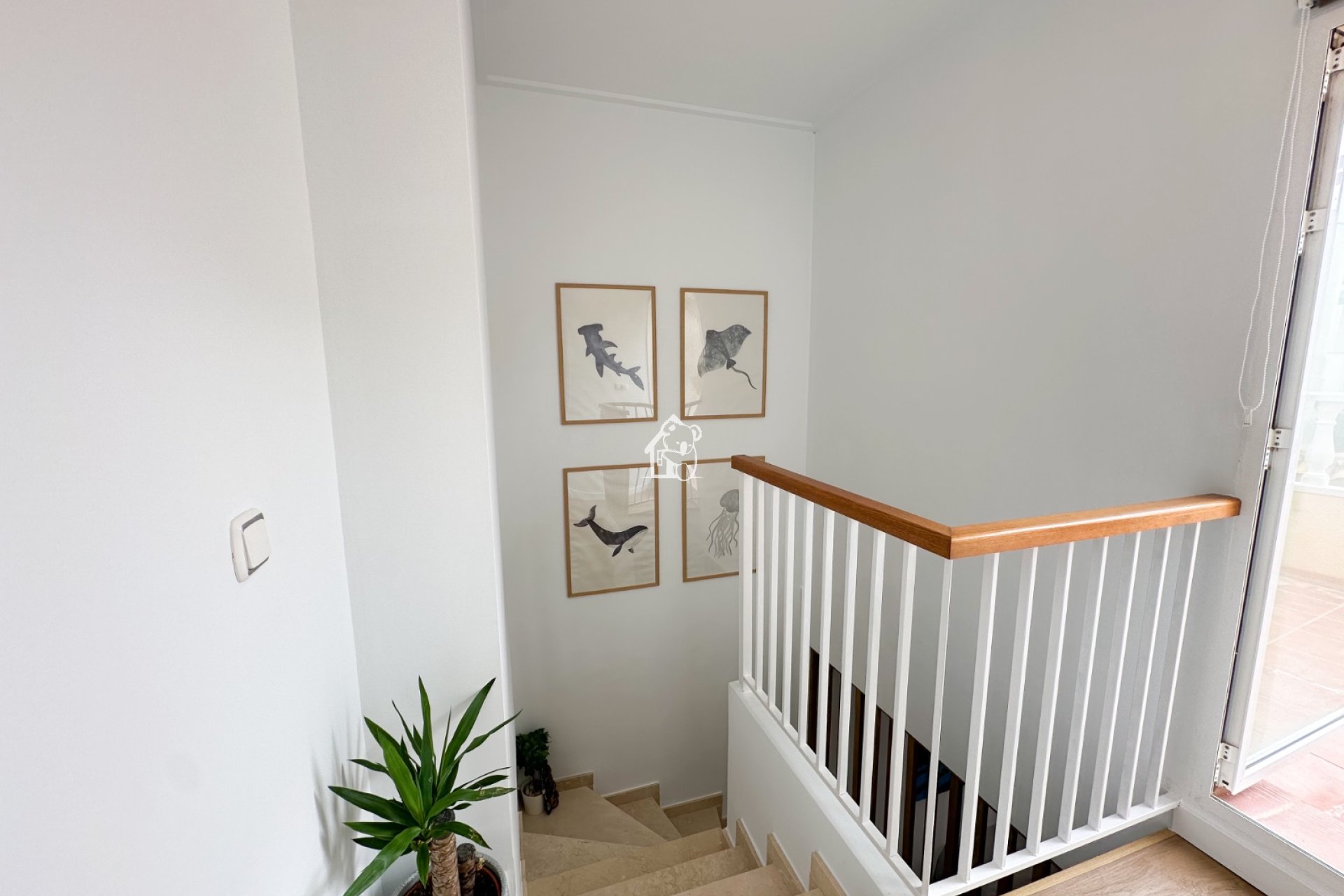 Alquiler - Villa - Orihuela Costa - Cabo roig - La Zenia