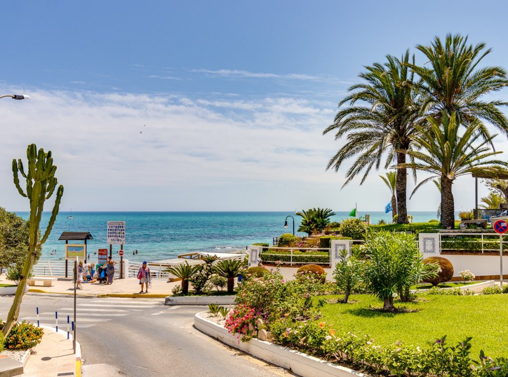 Alquiler - Villa - Orihuela Costa - Cabo roig - La Zenia