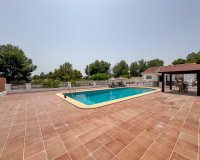 Alquiler - Villa - Pilar de la Horadada - Pinar de Campoverde