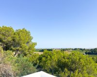Alquiler - Villa - Pilar de la Horadada - Pinar de Campoverde