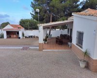 Alquiler - Villa - Pilar de la Horadada - Pinar de Campoverde