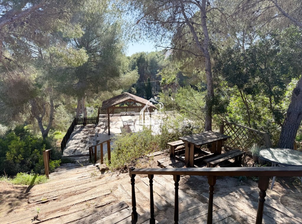 Alquiler - Villa - Pinar de Campoverde