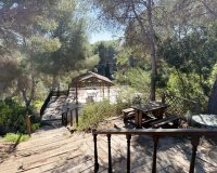 Alquiler - Villa - Pinar de Campoverde