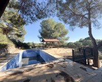 Alquiler - Villa - Pinar de Campoverde