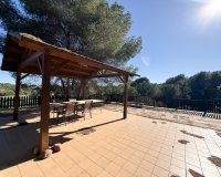 Alquiler - Villa - Pinar de Campoverde