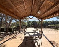 Alquiler - Villa - Pinar de Campoverde