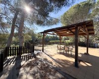 Alquiler - Villa - Pinar de Campoverde