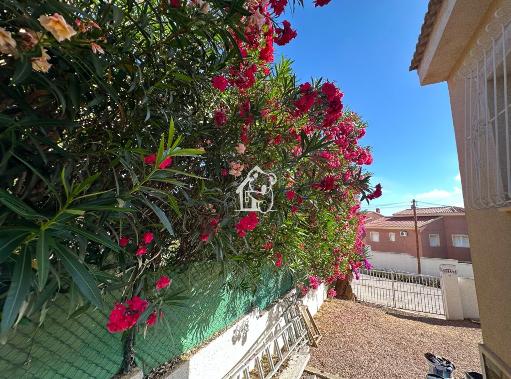 Alquiler - Villa - Rojales - Ciudad Quesada