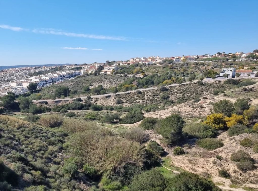 Alquiler - Villa - San Fulgencio
