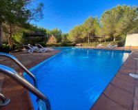 Alquiler - Villa - San Miguel de Salinas