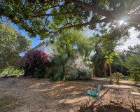 Alquiler - Villa - Torrevieja - Los Balcones - Los Altos del Edén