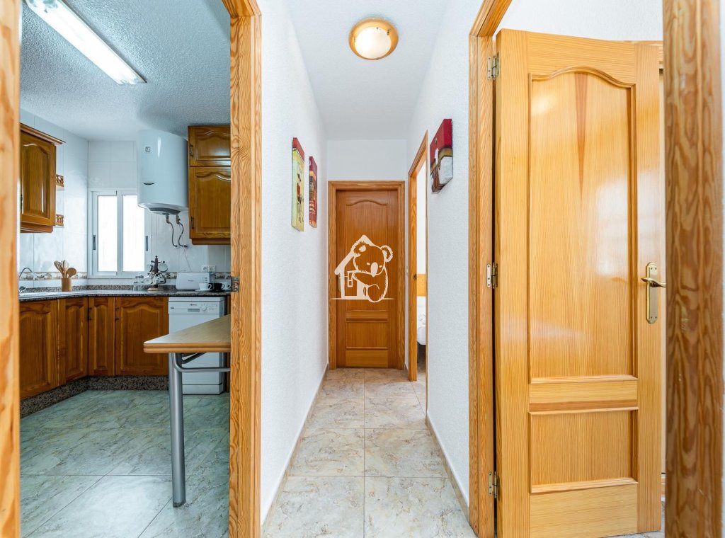 Alquiler - Villa - Torrevieja - Torrelamata - La Mata