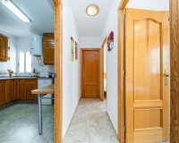 Alquiler - Villa - Torrevieja - Torrelamata - La Mata