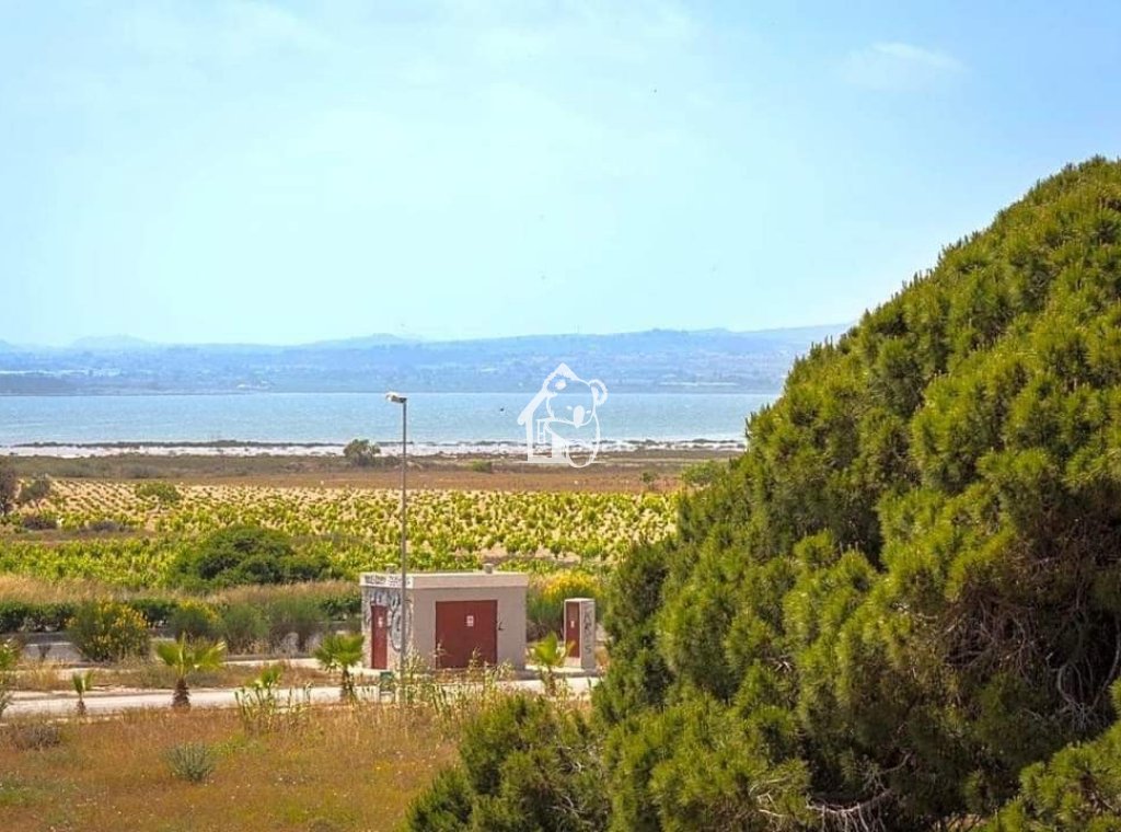 Alquiler - Villa - Torrevieja - Torrelamata - La Mata