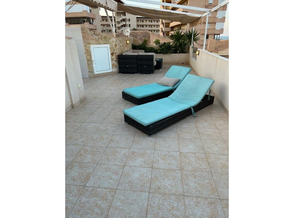 Alquiler - Villa - Torrevieja - Torrelamata - La Mata