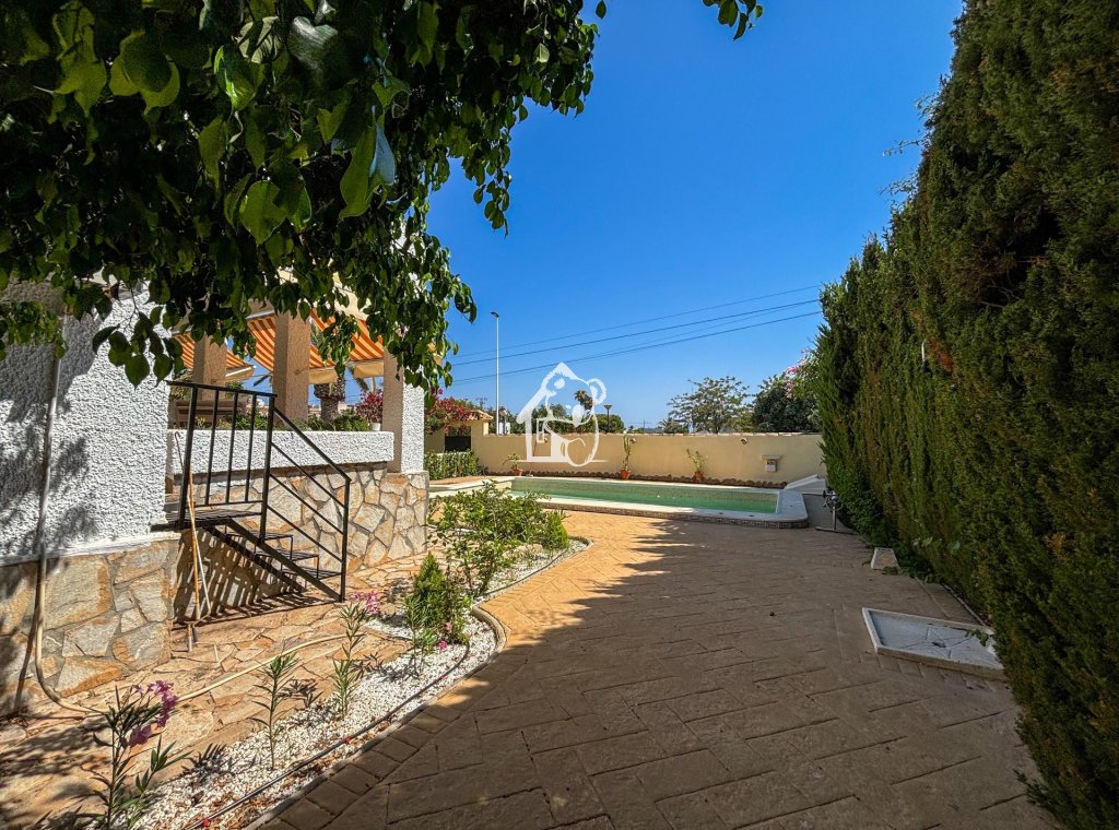 Alquiler - Villa - Torrevieja - Torrevieja Centro