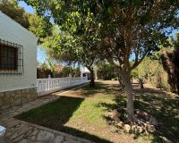 Alquiler - Villa - Torrevieja - Torrevieja Centro