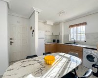 Alquiler - Villa - Torrevieja