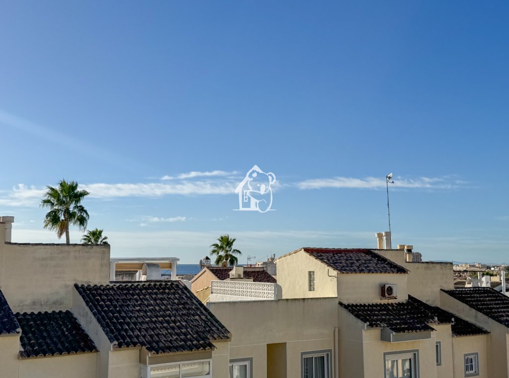 Alquiler - Villa - Torrevieja