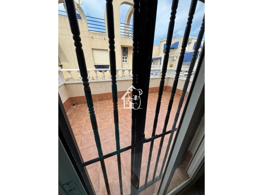 Alquiler - Villa - Torrevieja