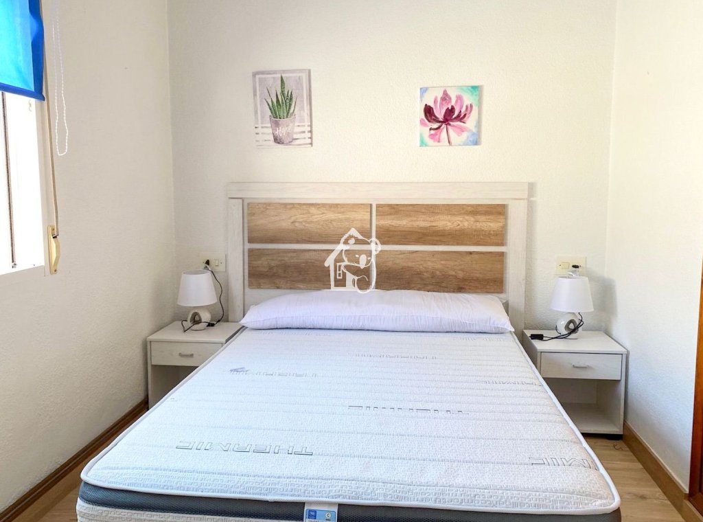 Alquiler - Villa - Torrevieja