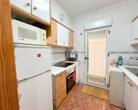 Alquiler - Villa - Torrevieja