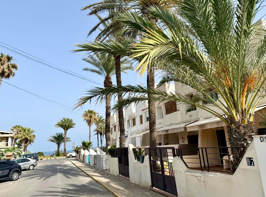 Alquiler - Villa - Torrevieja