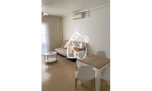 Apartamento / piso - Alquiler - Guardamar del Segura - Guardamar del Segura