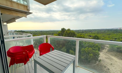 Apartamento / piso - Alquiler - Guardamar del Segura - Guardamar del Segura