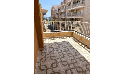Apartamento / piso - Alquiler - Torrevieja - Centro