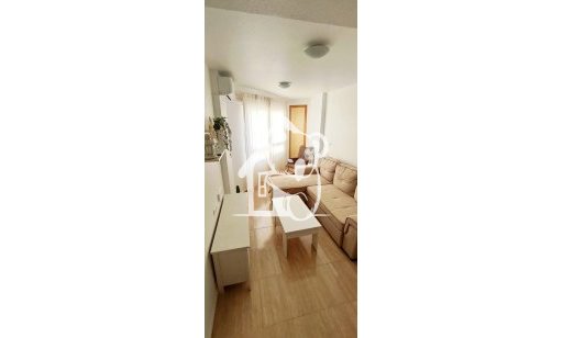 Apartamento / piso - Alquiler - Torrevieja - Torrevieja Centro