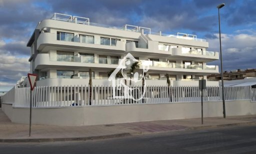 Apartamento / piso - Obra nueva - Cabo Roig - Cabo Roig