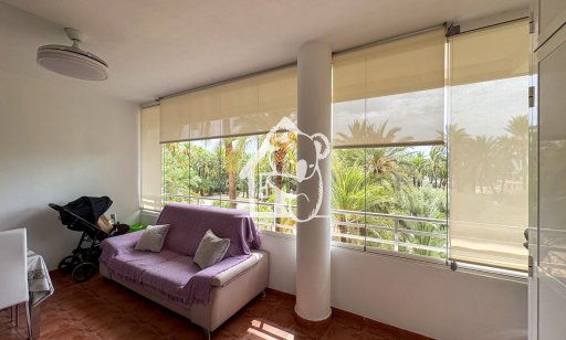 Apartamento / piso - Segunda Mano - Elche - Altabix