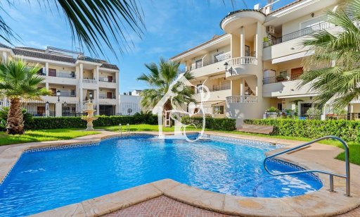 Apartment / flat - Rental - Jacarilla - Jacarilla