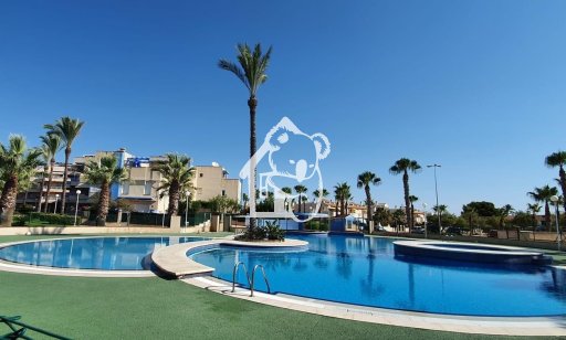 Apartment / flat - Rental - Orihuela Costa - Cabo roig - La Zenia