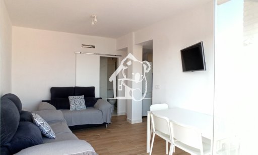 Apartment / flat - Rental - Torre de la Horadada - PIS0711