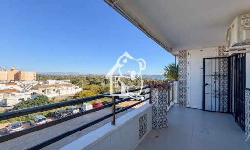 Apartment / flat - Rental - Torrevieja - La Siesta - El Salado -  Torreta