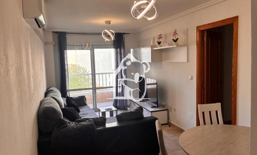 Apartment / flat - Rental - Torrevieja - Torrevieja Centro