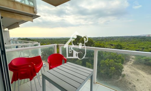 Appartement / flat - Lange Termijn Verhuur - Guardamar del Segura - Guardamar del Segura